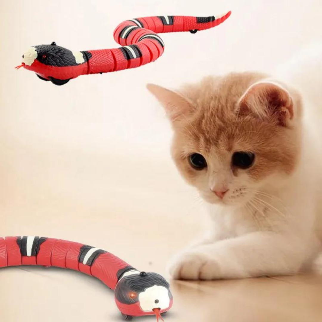 SmartSnake - Every Cat's Favorite Toy