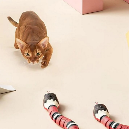 SmartSnake - Every Cat's Favorite Toy
