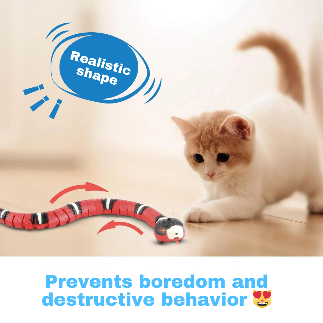 SmartSnake - Every Cat's Favorite Toy
